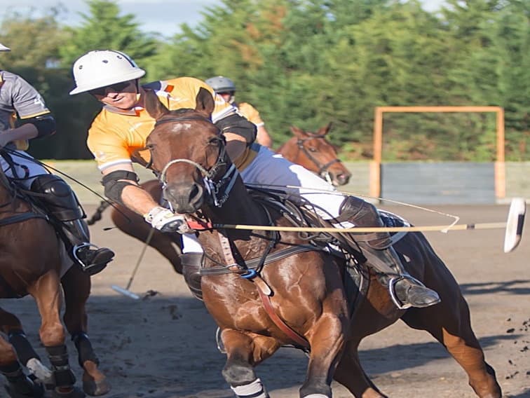 Cover Image for Festive fun with Westcroft Park Polo club