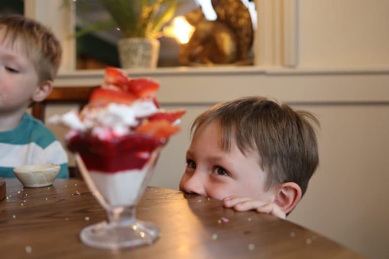 Cover Image for Your Kids Eat Free This Half Term at The Sun Inn